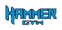 Logo Hammer Gym